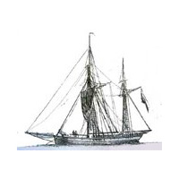 schiff-2