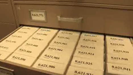 NZZ-Format-Ahnenforschung